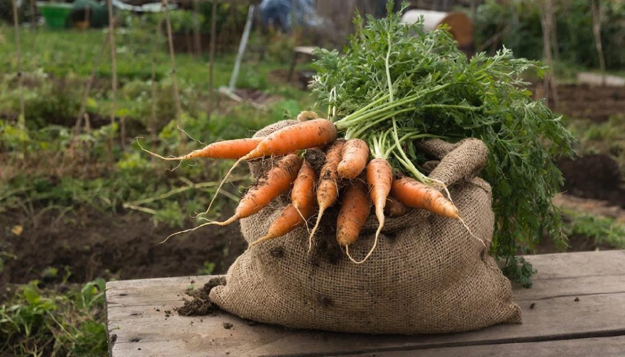 Изображение GigaChat (18+)