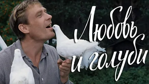 Тематическое фото кадр из фильма &quotЛюбовь и голуби&quot (12+), 1984 год