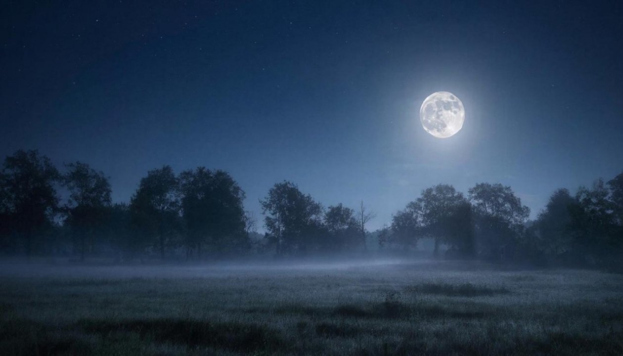 Тематическое фото сгенерировано с помощью ИИ