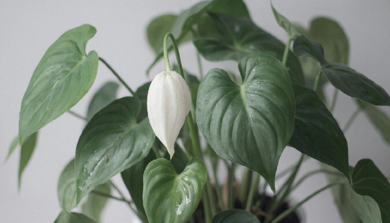 Тематическое фото сгенерировано с помощью ИИ