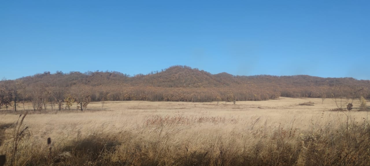 У владельцев участков осталось меньше двух лет на освоение земли Марина  Померанцева , ИА EAOMedia