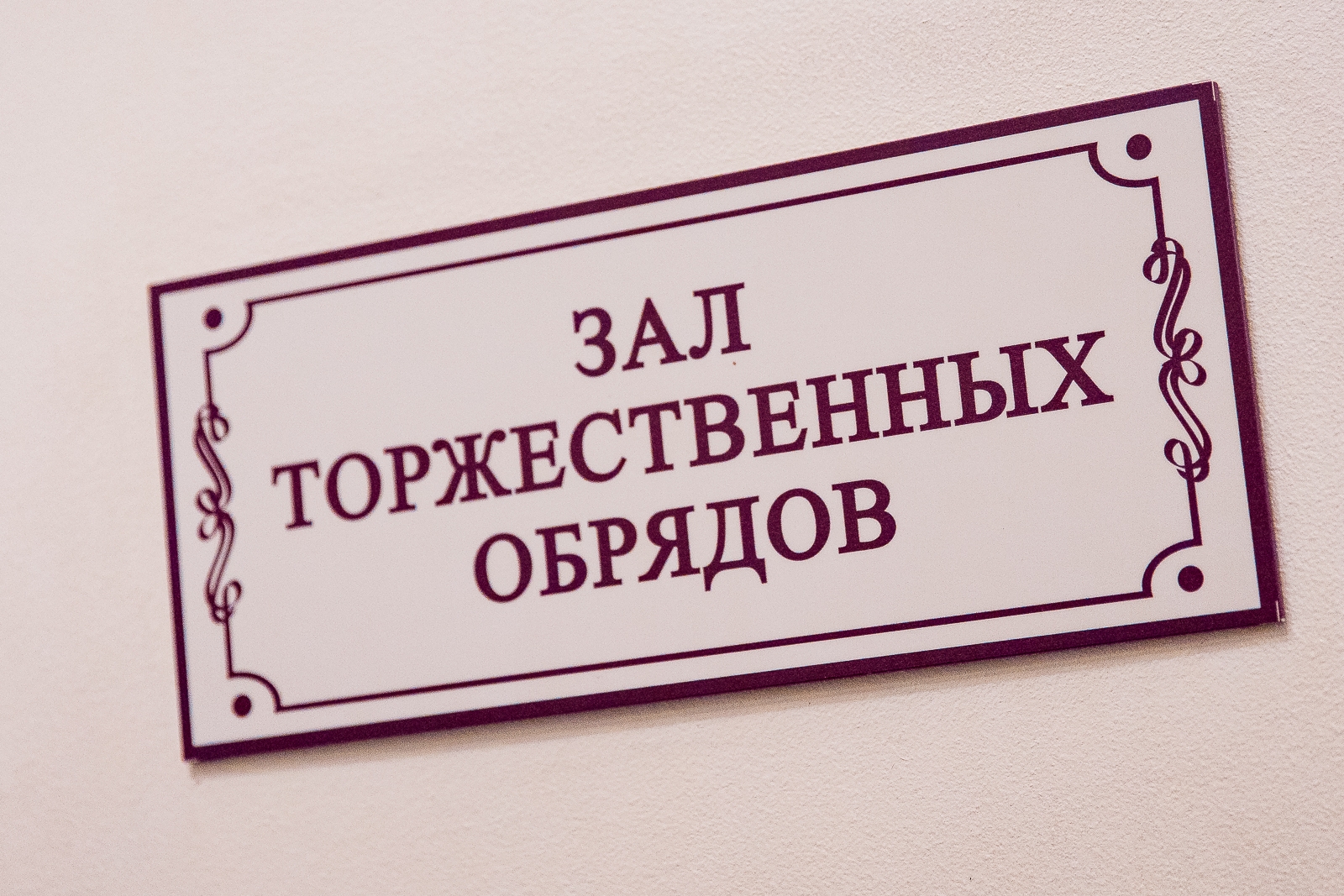 ЗАГС Илья Аверьянов, ИА PrimaMedia