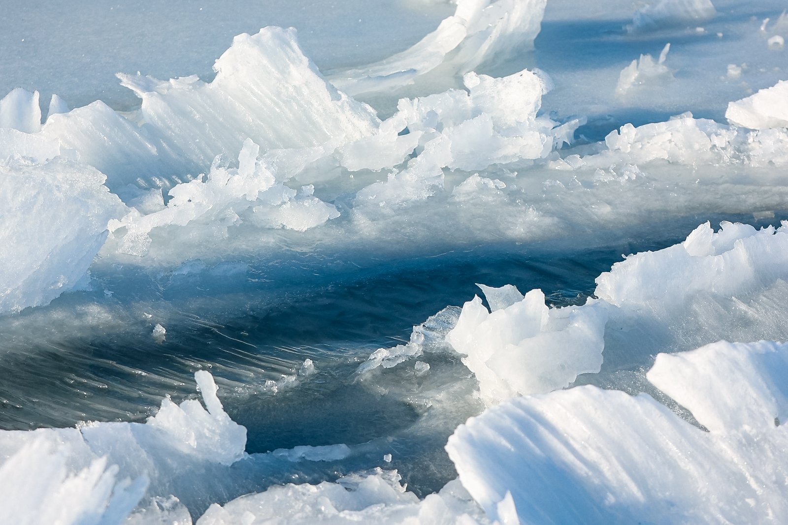 Лед Илья Аверьянов, ИА PrimaMedia.ru