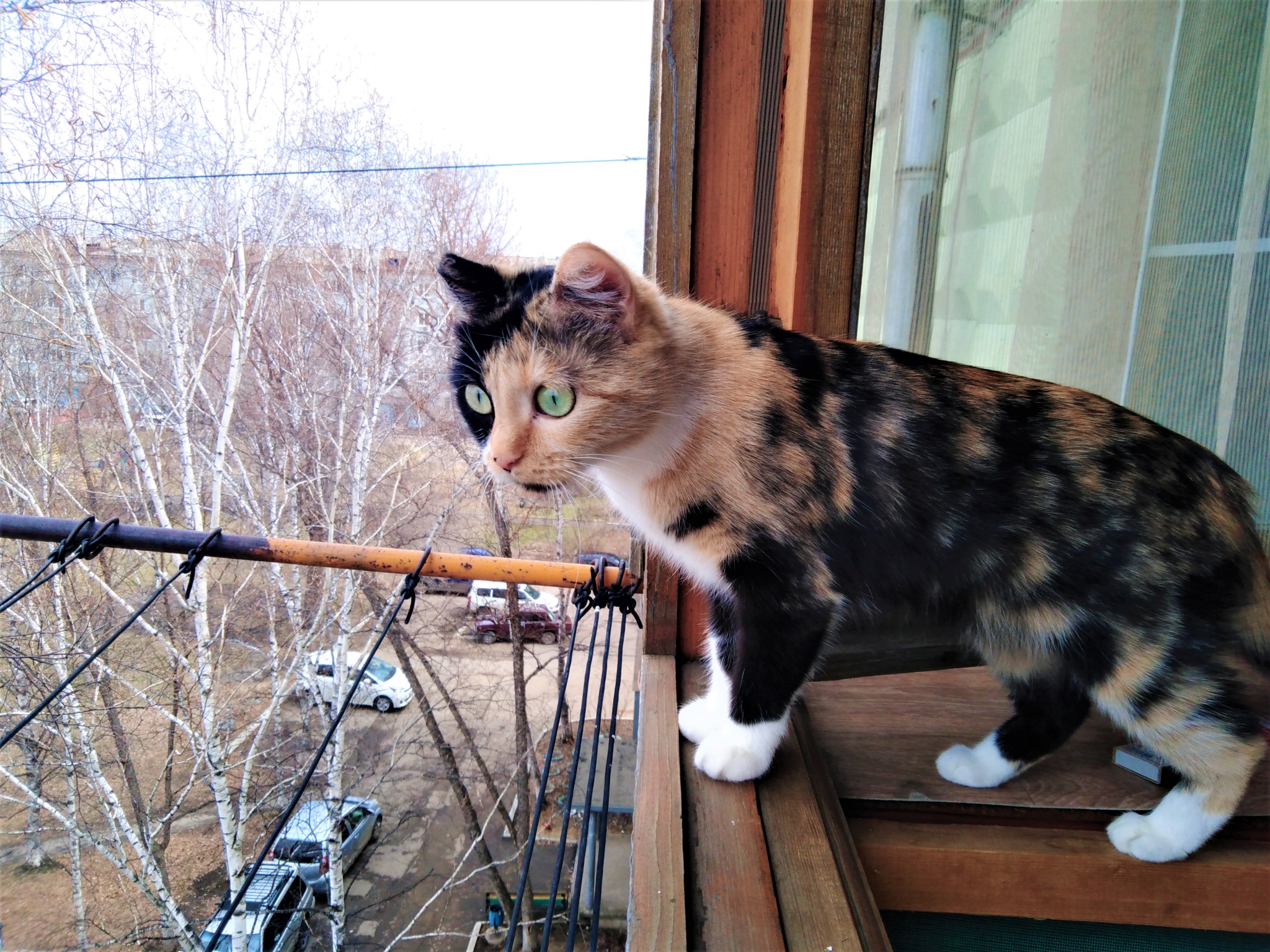 Эксперт рассказал, что нельзя хранить на балконе ИА EAOMedia