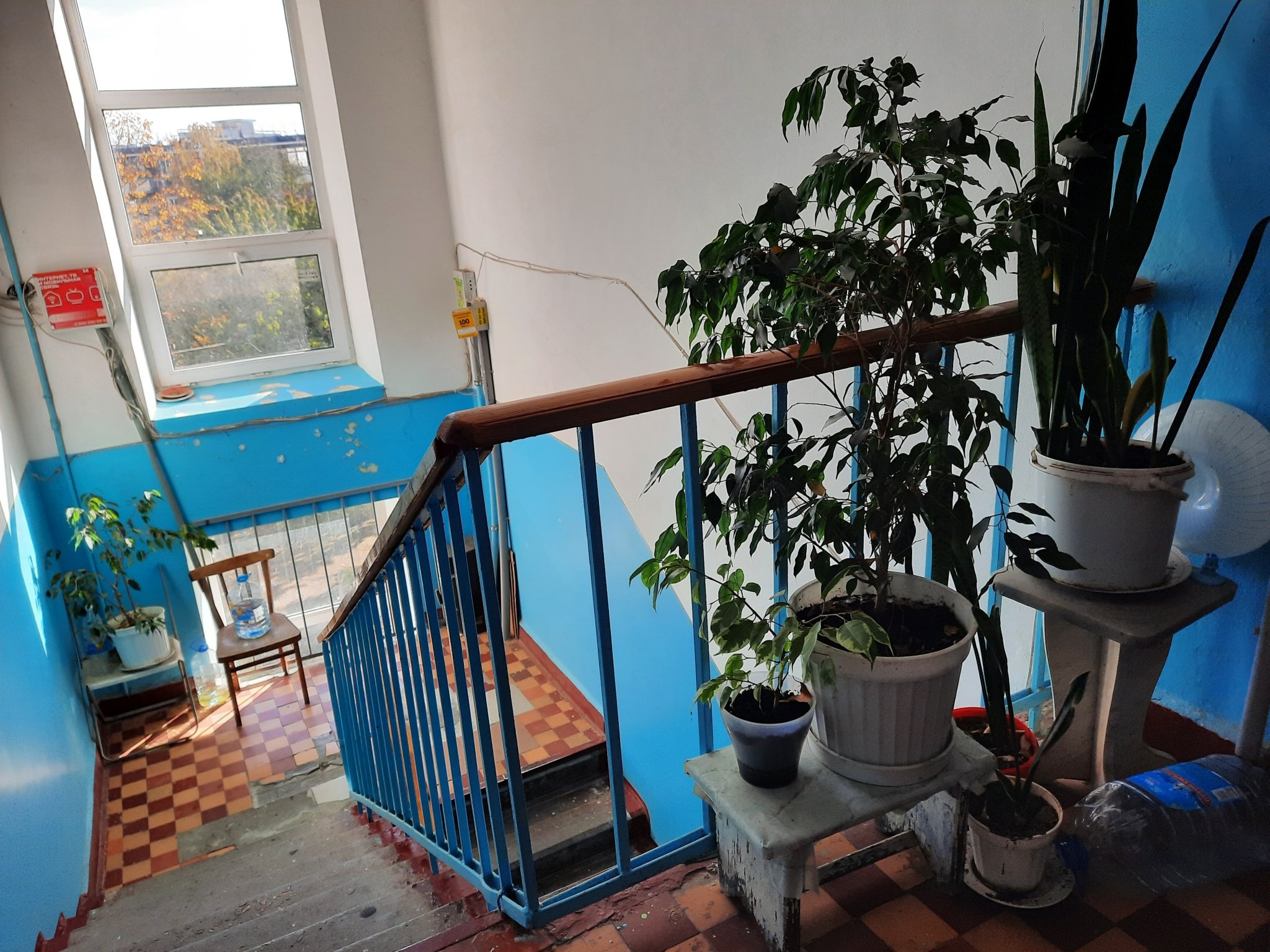 Вонючие краски нужно запретить для ремонта подъезда Виктория Харченко, ИА PrimaMedia