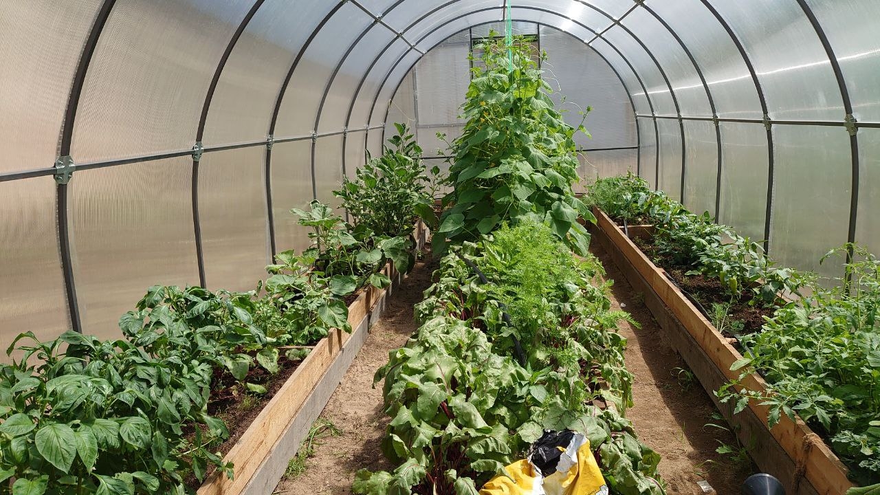 Россиянам объяснили, как не попасть в ловушку при покупке дачи ИА EAOMedia