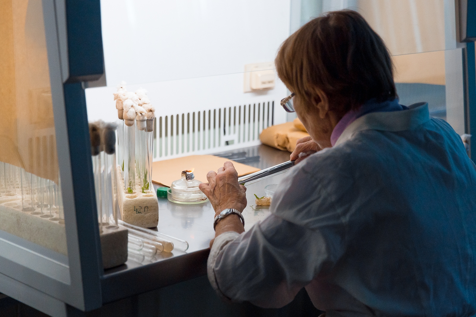 пробирка, пробирки, колба, анализ, анализы, лаборатория, исследование Илья Аверьянов, ИА PrimaMedia