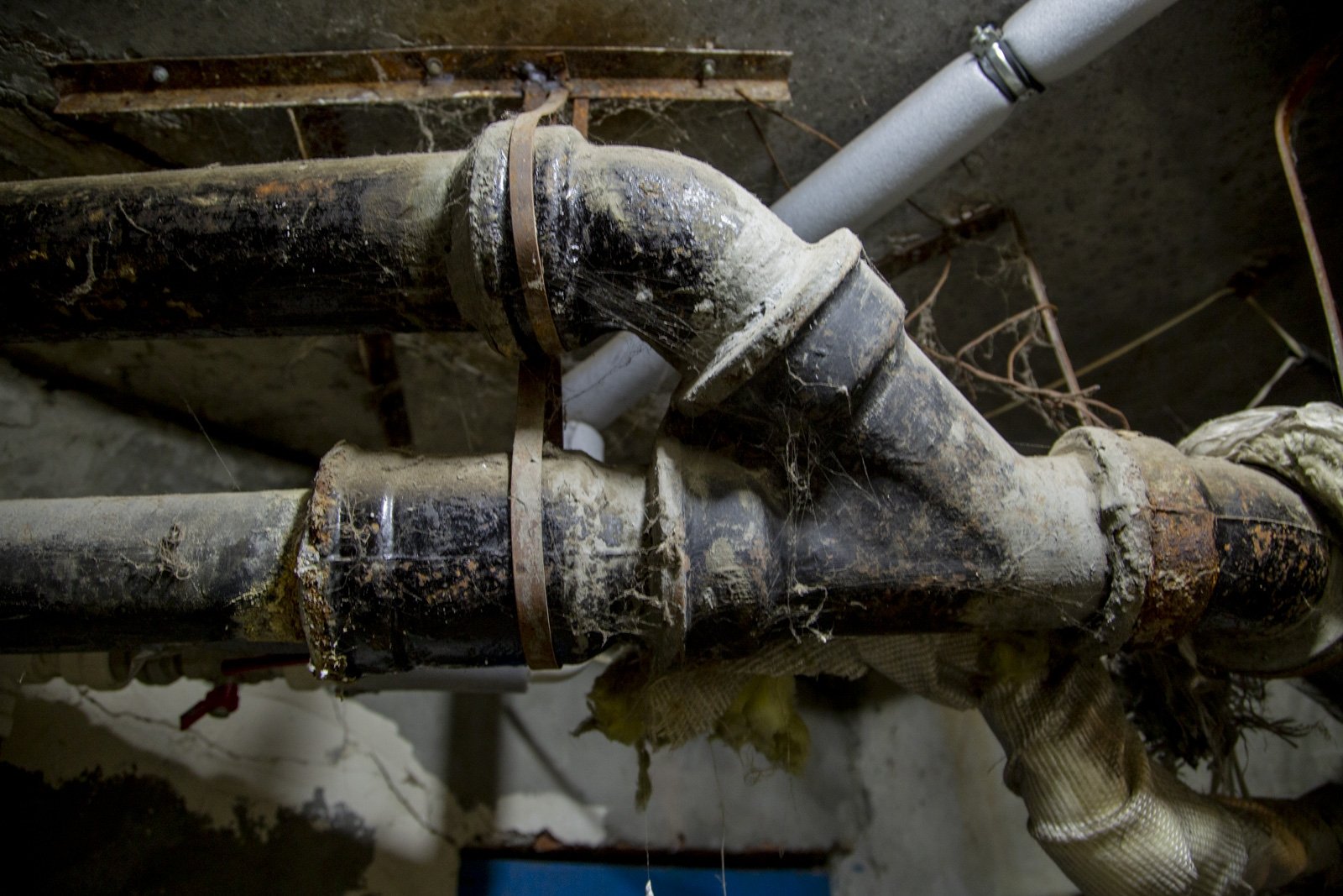 Трубы Артём Хорошилов  , ИА Stavropol.Media