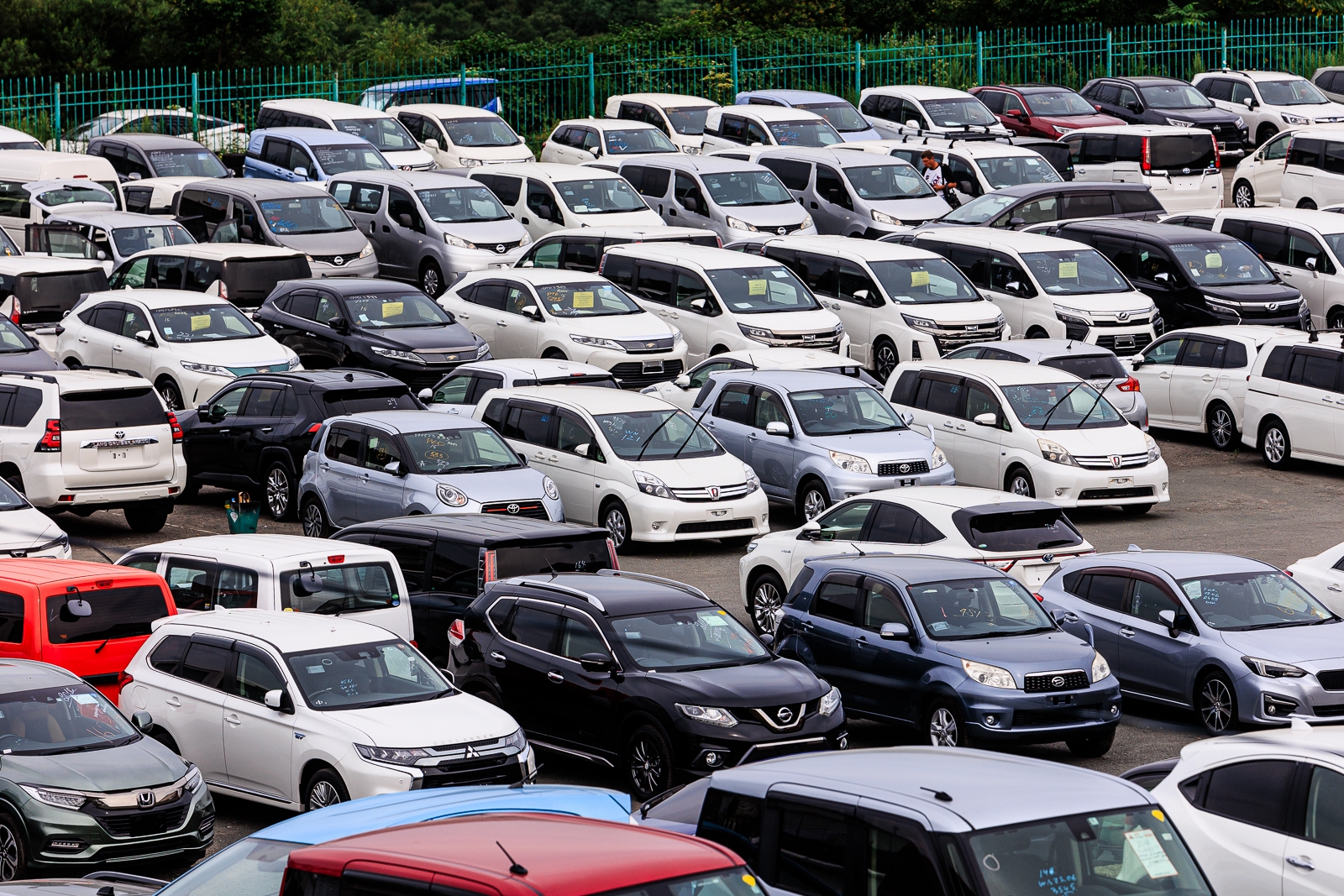 Китайские гибриды захватывают рынок РФ Евгений  Кулешов, ИА PrimaMedia