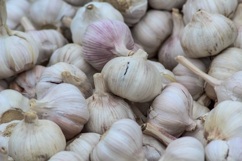 Чеснок Антон Балашов, ИА PrimaMedia