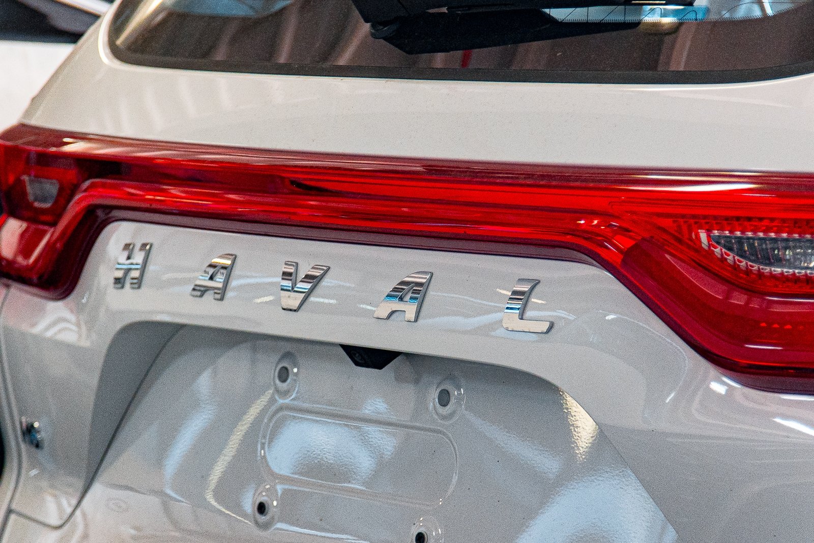 В России могут начать продавать автомобильные номера со словами Илья Аверьянов, ИА PrimaMedia.ru