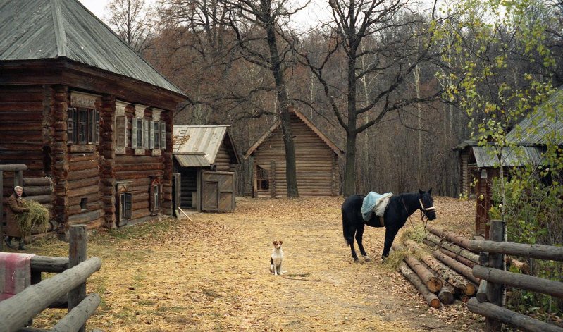 Фото дня
