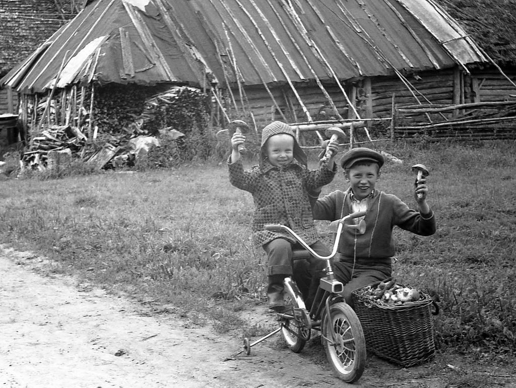 Фото дня