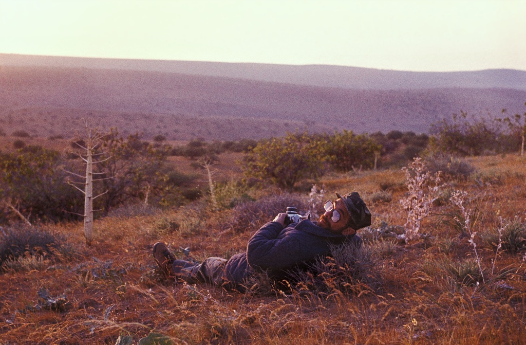 Закат в долине фисташковых деревьев, 1989