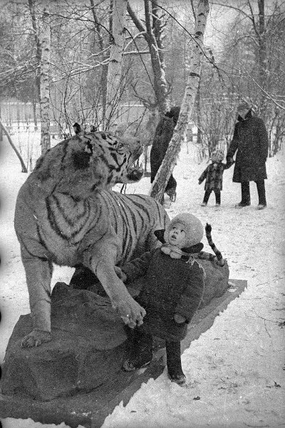 Фото дня